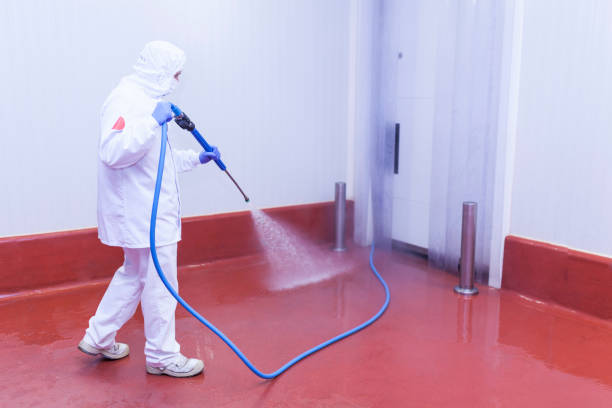 Best Paint Preparation  in Oberlin, OH
